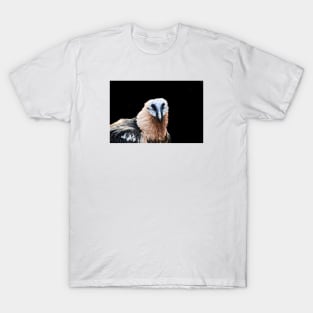 Bearded Vulture 1 / Swiss Artwork Photography T-Shirt